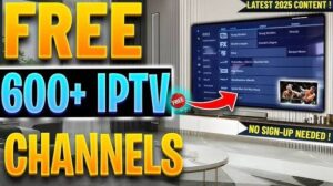 Example of Aurora IPTV sports channel streaming in HD on a tablet